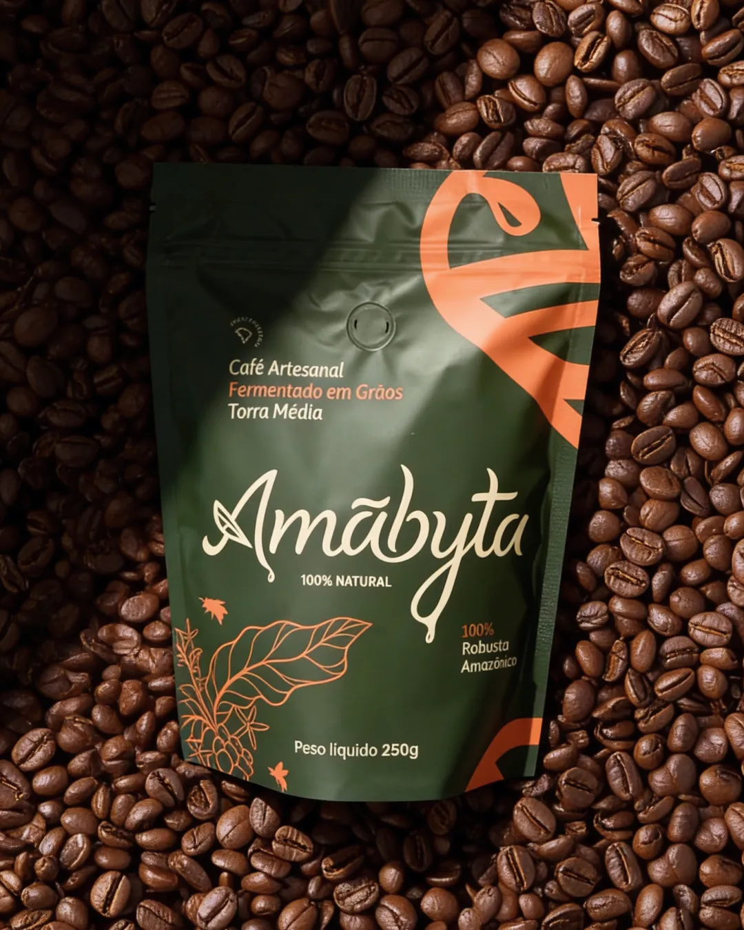 Café Robusta Amazônico — Fermentado